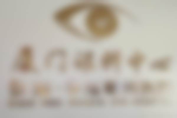 特色科室建设与高端设备配置
