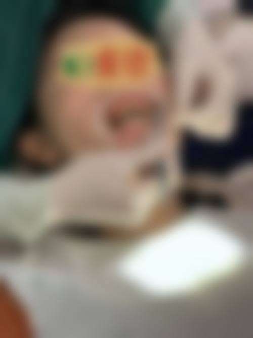 价格体系与服务确保