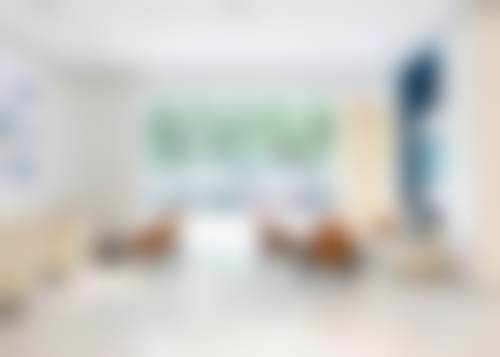 擅长项目详解：个性化定制与自然美学