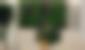 深圳贝加美医疗美容医院