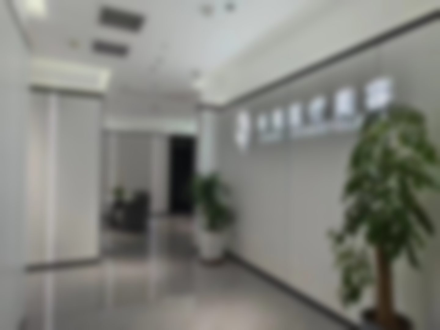 擅长项目详解