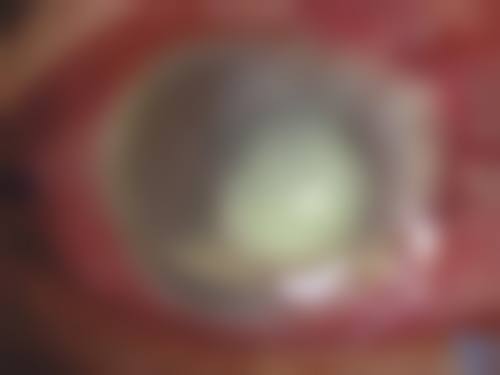 医生资质介绍