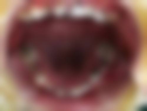 总结与预约指引
