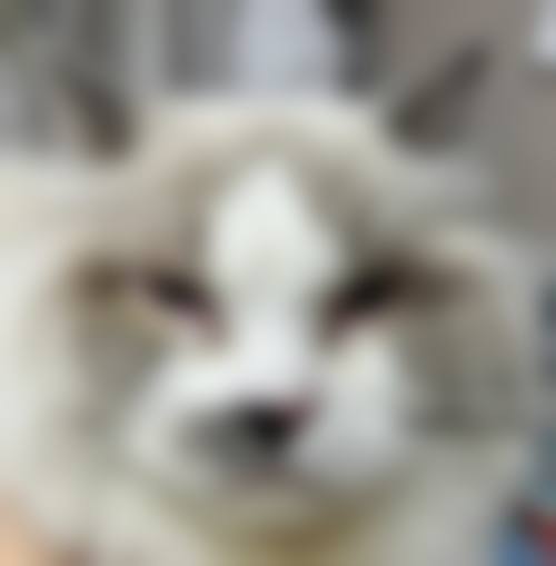 患者真实评价：韦维医生就诊体验反馈