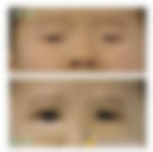 交通指南与总结