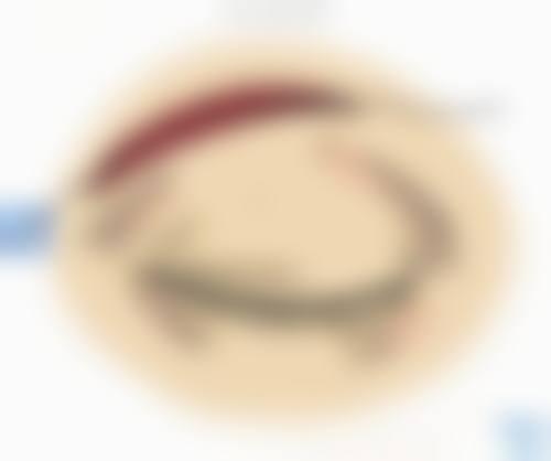 诊疗特色总结