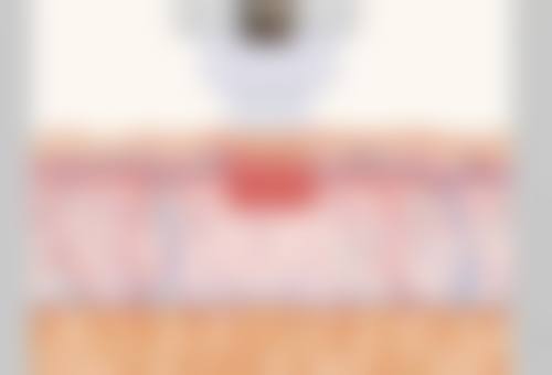 特色项目与正版保护：价格优势分析