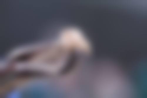 数字化设备加持，精细诊疗提升效率
