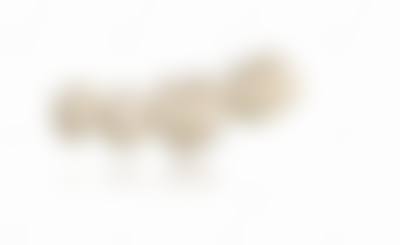 常见问题解答