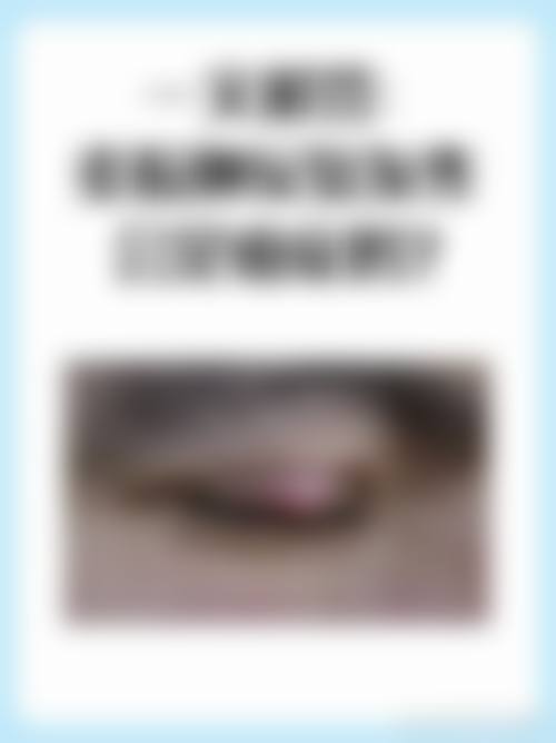 核心项目优惠详情