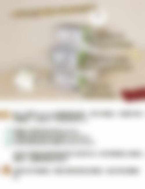 总结与建议