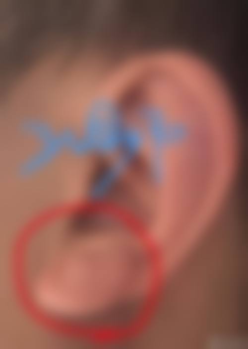 总结与预约号召
