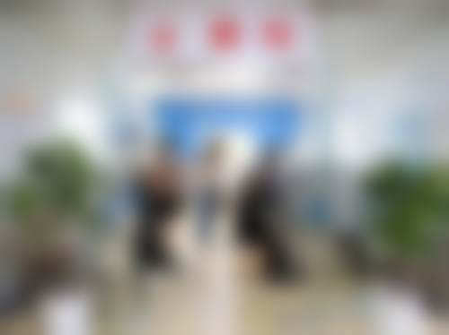 擅长项目详解
