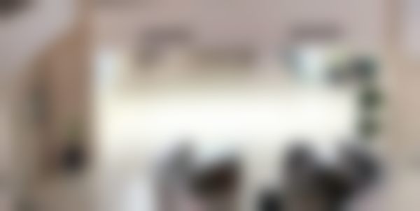 骨干医生团队与服务流程