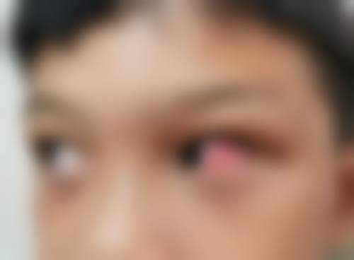 常见问题解答