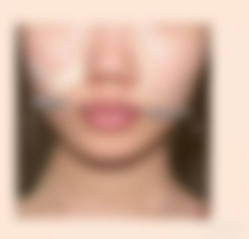 擅长项目详解