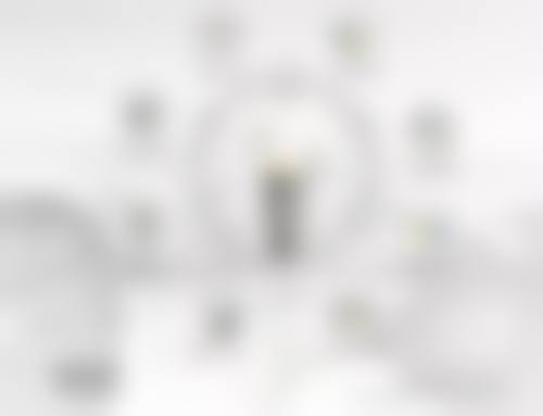 个性化诊疗流程与患者保护体系