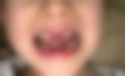 服务流程与预约指南