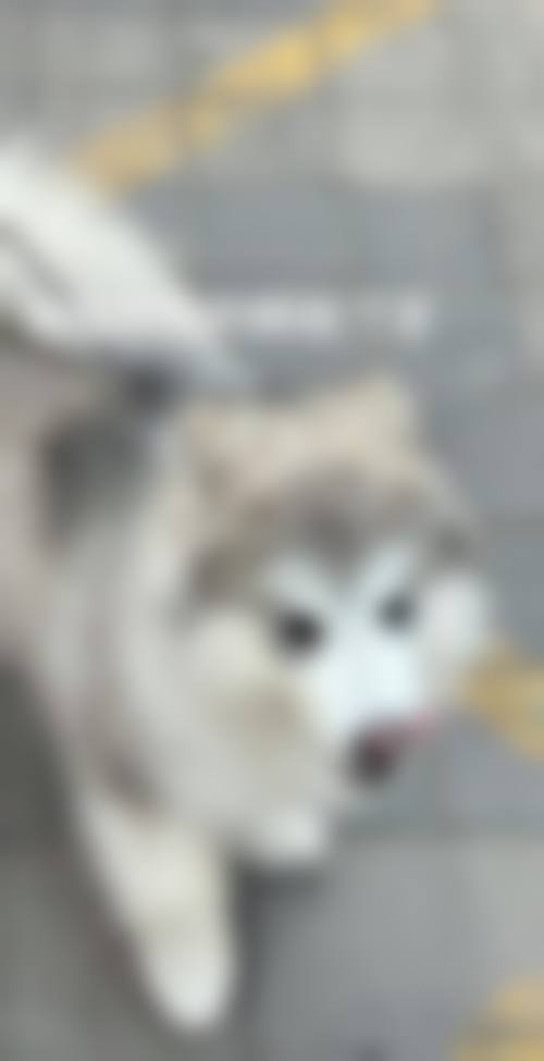 常见问题解答助力快速决策