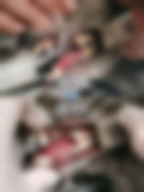 FAQ：常见问题解答