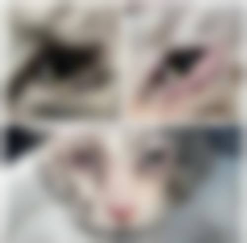 总结与预约号召