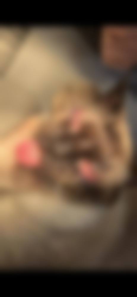 预约优惠活动