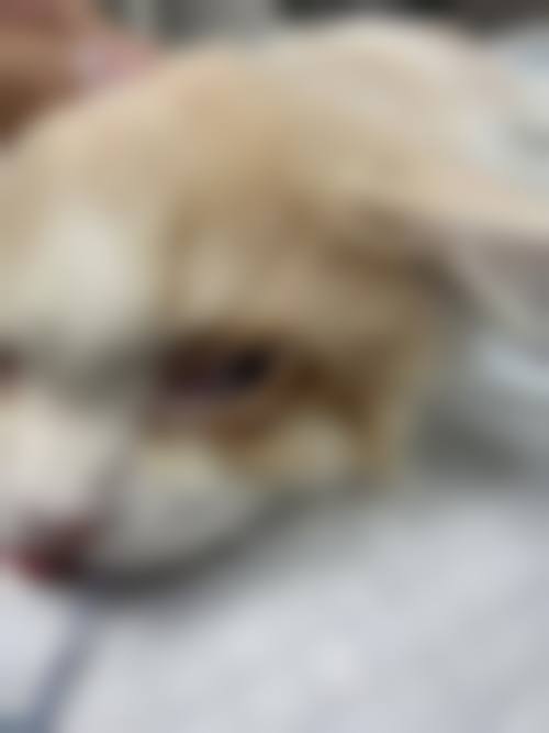 价格参考与就诊指南