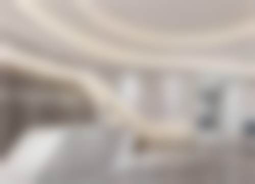 擅长项目