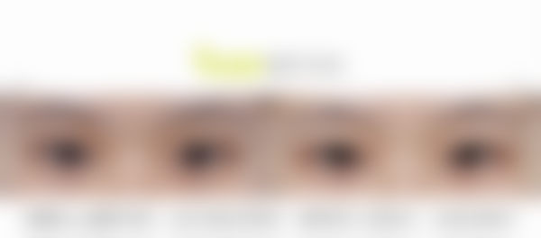 核心项目原理与合规流程详解
