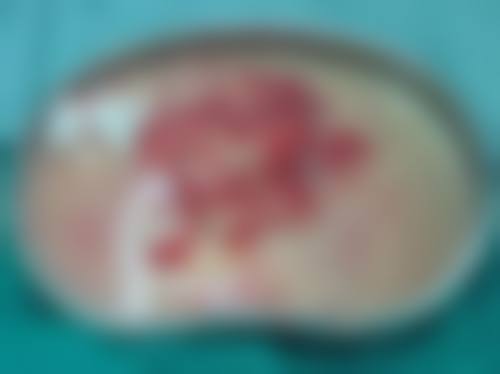透明价格体系与优惠活动