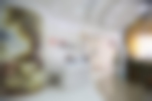 擅长项目