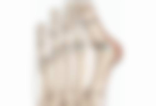 毛发种植费用是多少?不同项目收费明细