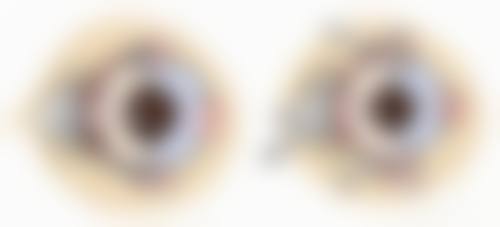 具有影响力资质与深厚底蕴保护诊疗安心