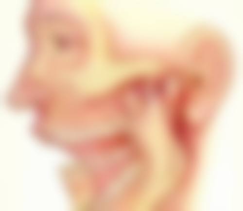 医生资质介绍