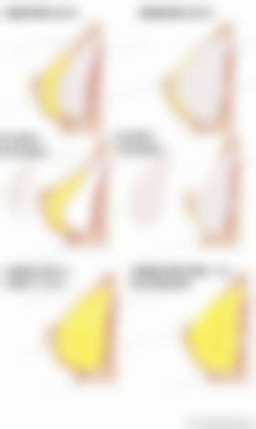 服务流程与优惠活动:贴心体验促转化