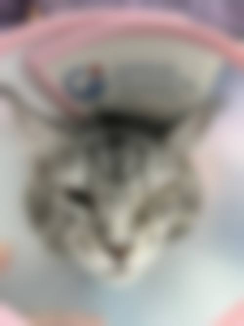 预约优惠活动