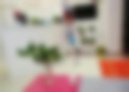骨干医生团队与服务流程