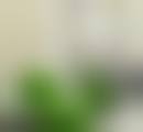 擅长项目详解深圳江南春天医疗美容医院石清泉